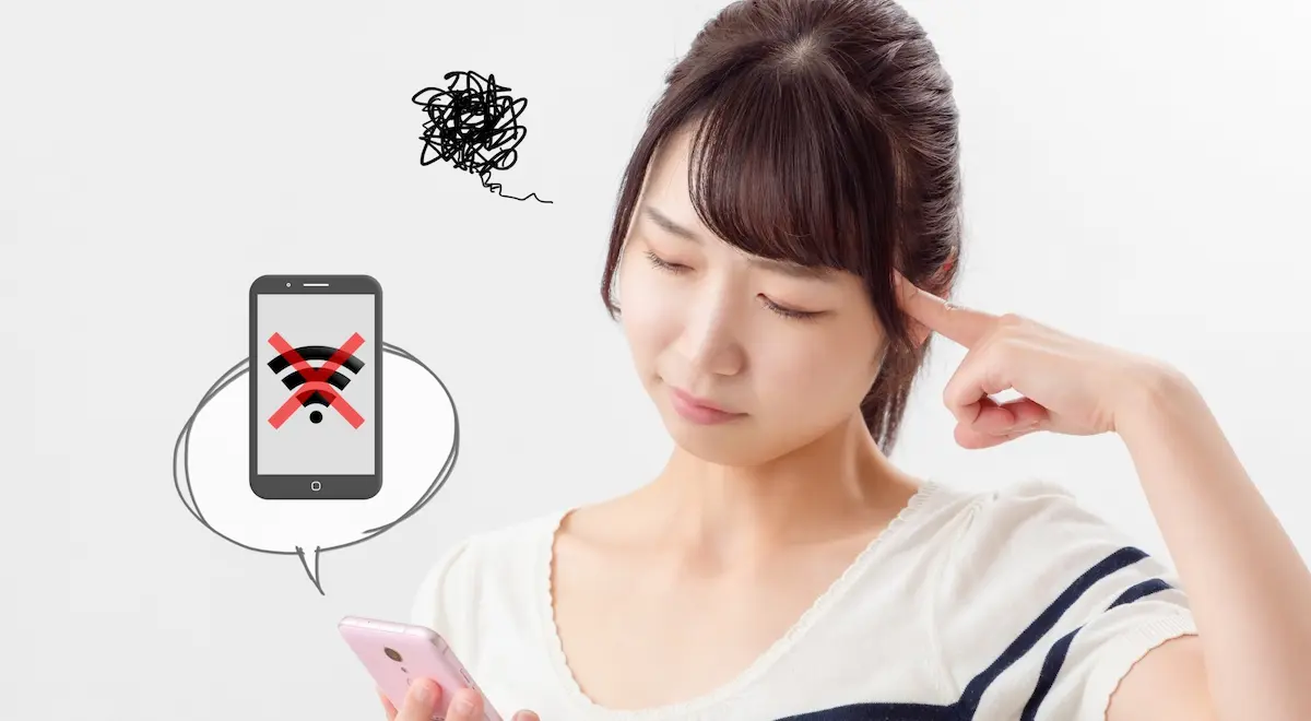 インターネット環境が停止する